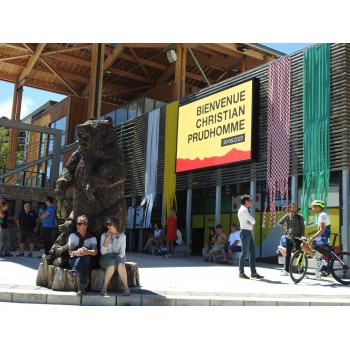 Bouquet de 8 franges...