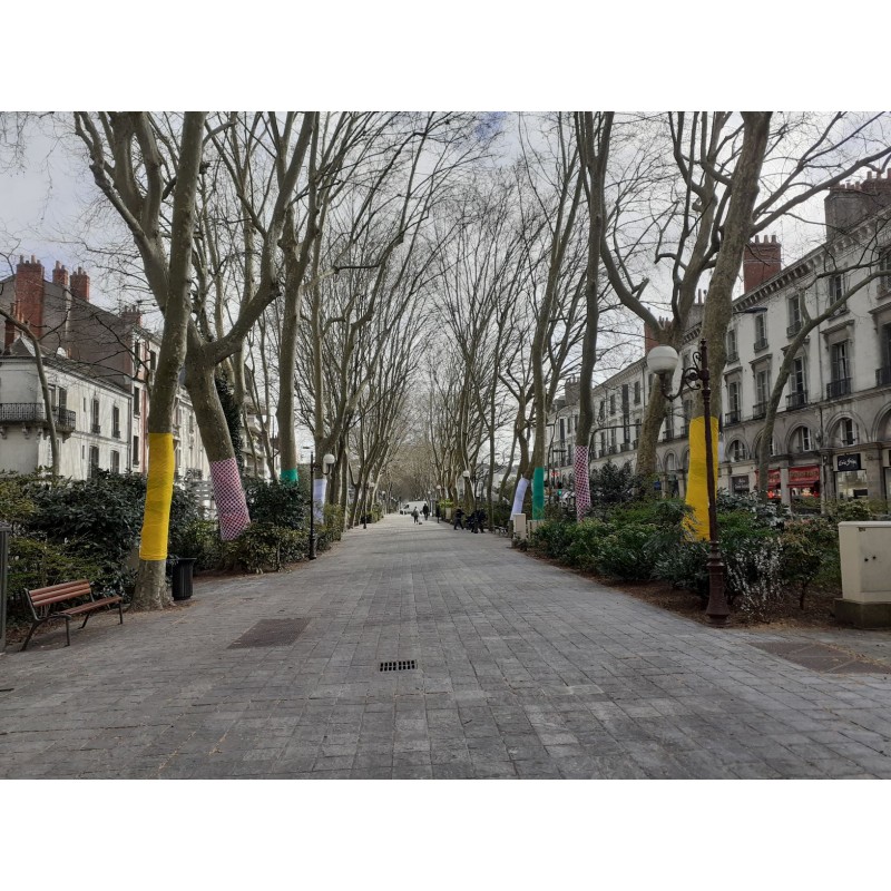 maille utilisée comme habillage de troncs