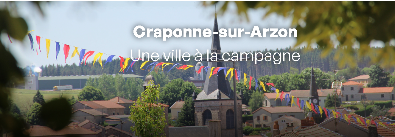 Médiévale fendue et unie alternance 3 coloris 1480-1482-1840